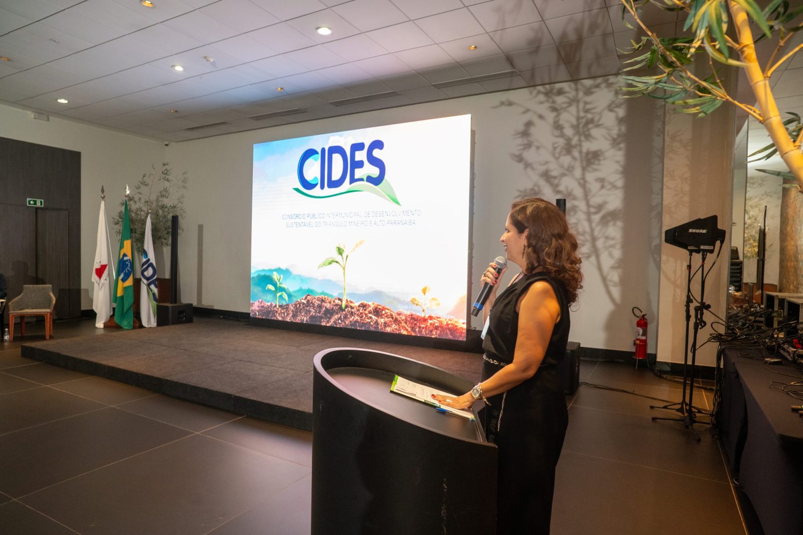 LUIZCROSARA 34988442828